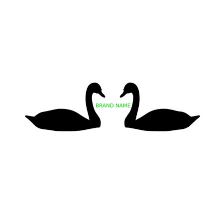 two black swans on white background. Logo concept vectorのイラスト素材