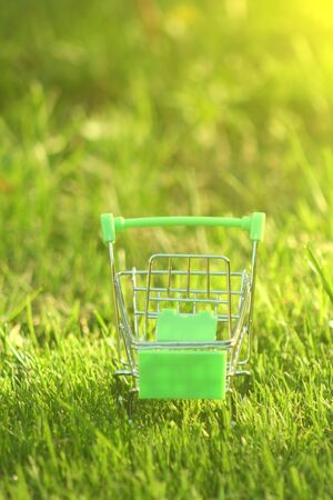 mini shopping trolley in the grass, which is covered by sun rays symbolizing marketing, shopping and business.の写真素材