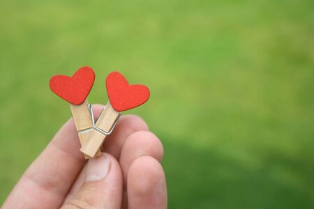 Two clothes pegs stapled together. Red hearts. Green background with grass. Love concept for valentine day.の写真素材