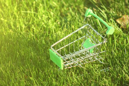 mini shopping trolley in the grass, which is covered by sun rays symbolizing marketing, shopping and...