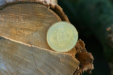 Stack of golden bitcoin replica with sun flare.Business and finance concept. bitcoin increaseの写真素材