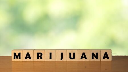 MARIJUANA message word on a wooden desk on cube blocks with a green nature background
の写真素材