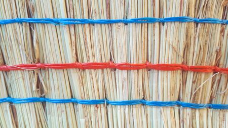 The broom wattle with blue and red rope. Closeup view background. 