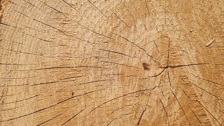 Dark shaded wood tree ring background texture. Wood rings with cracked surfaceの写真素材