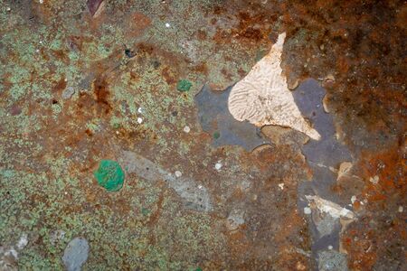 Old Dirt Rough Cement Wall Grunge Background, Backdrop. Abstract Aged Textured Pattern