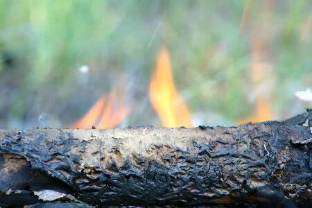 dry wooden logs burn with a bright flame in the fire