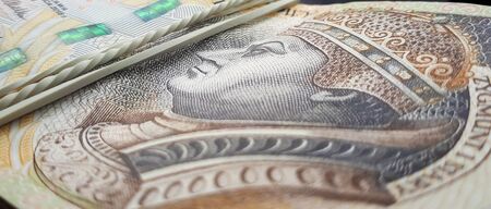 Stack of polish money. Business and financial concept. Polish Zloty banknotes PLN