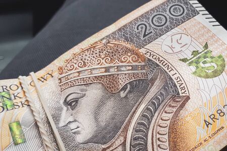 Polish currency banknote as finance or business concept background. 200 PLN zloty. Zygmunt I Stary.の写真素材