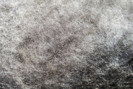 detailed fragment of dirty air car filter surfaceの写真素材