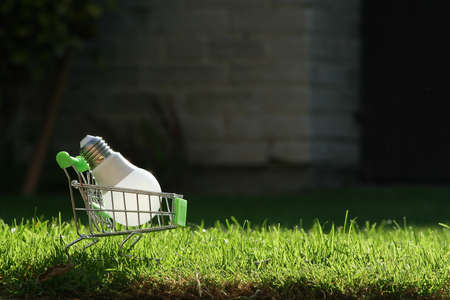 LED bulb in a mini shopping basket in the grass as a concept for saving electricity, new ideas and business.の写真素材