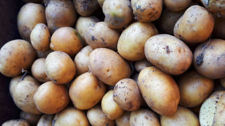 Showcase with potatoes on the Street Market. Close-up. Vegetables of the store.の写真素材