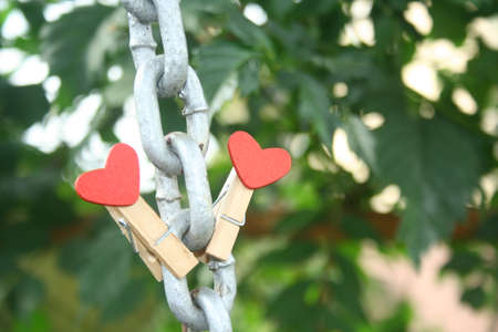 A gray chain with two clothes pegs attached to it. Green blurred background in the garden. A symbol...