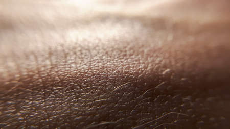 Hand pattern. Macro, closuep skin texture. Dermatolofy health care.の写真素材