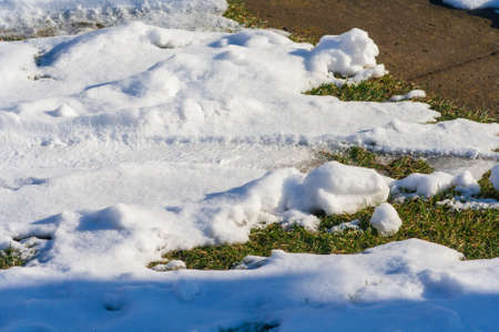 Spring time concept - melting snow and growing green grass. spring background. End of winter. Sunny dayの写真素材