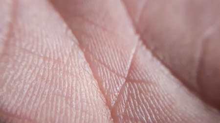 Macro skin of human hand. Medicine and dermatology concept. Details of human skin texture