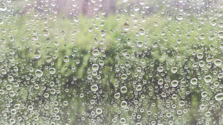 Water drop of rain on window glass burred garden background.