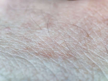 Macro human skin texture. Person skin. Dermatology background, health skin, caucasian color. Medicine patternの写真素材