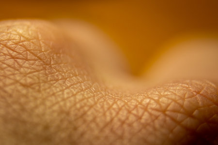 Macro human skin texture. dermatological pattern. Abstract healthy skinの写真素材