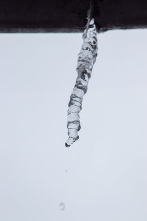 Single crystal icicle. Frost winter concept. Frozen water, melting - winter time