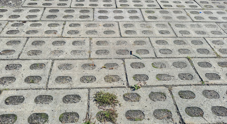 A close-up view of a concrete sidewalk featuring unique patterned tiles. Some grass patches and...
