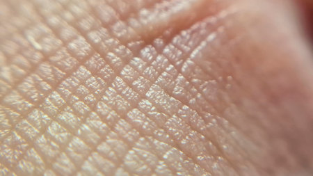 Close-up view of human skin texture highlighting intricately patterns of lines and grooves. This image emphasizes the unique details of the skins surface suitable for various medical and beauty applications.の写真素材