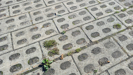 Textured concrete pavement with scattered grass and small plants growing through the gaps...