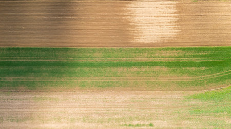 Aerial view of vibrant agricultural fields showing alternating patterns of green crops and brown...