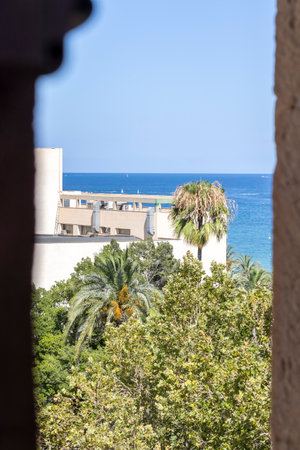 Alicante Spain - July 17 2025: Scenic view of the Mediterranean Sea framed by lush green palm trees and building architecture along the coast.のeditorial素材