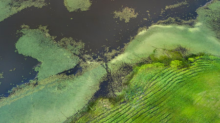 Aerial view of a serene lake landscape showcasing lush greens and dark waters illustrating the...