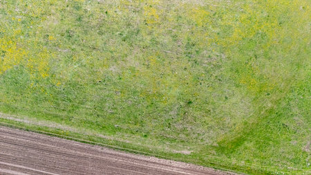 Aerial view of a lush green field featuring a combination of grass and wildflowers showcasing...