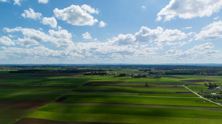 Aerial view of lush green fields with patches of brown soil under a vibrant blue sky dotted with fluffy white clouds. This picturesque rural landscape showcases agricultural beauty.の写真素材