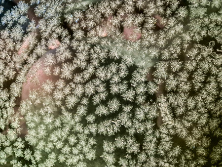 Close-up view of delicate frost patterns on a glass surface creating a beautiful natural design....