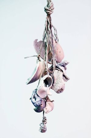 shells on stringの写真素材