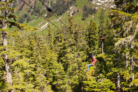 Person zip-lining across treetopsの写真素材