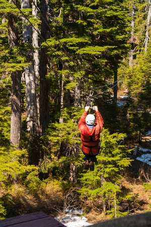 Man crossing the forest by zip lineの写真素材