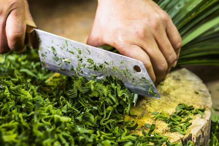 Cutting Pandan
