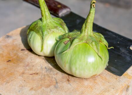 Turn eggplant の写真素材