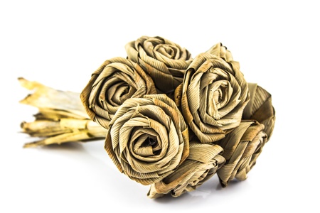 artificial roses isolate on white backgrond