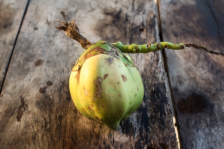 coconut on wood backgroundの写真素材