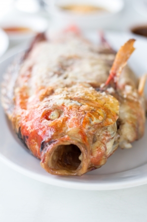 Salt grilled fish Local Foods of Thailandの写真素材
