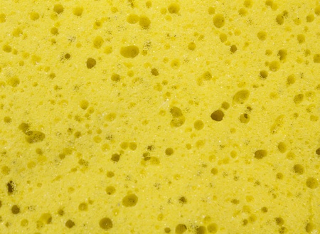 Yellow sponge textureの写真素材