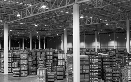 Interior of new large and modern warehouse space monochrome