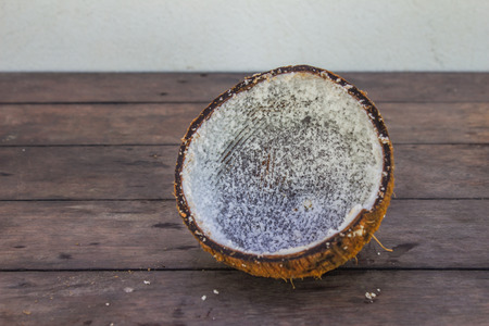 Coconut on table backgroundの写真素材