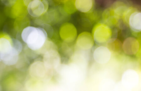 Natural green blured background with bokehの写真素材