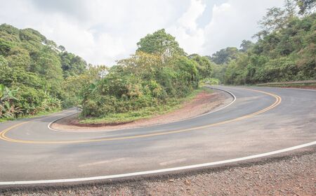 Road curves in forestの写真素材