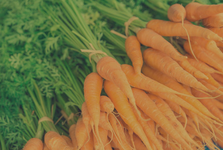 Baby Carrot backgroundの写真素材