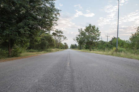 road in forestの写真素材
