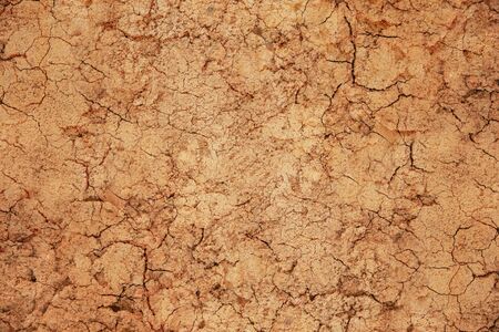 Cracked earth background