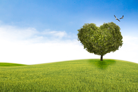Tree in the shape of heart, valentines day backgroundの写真素材