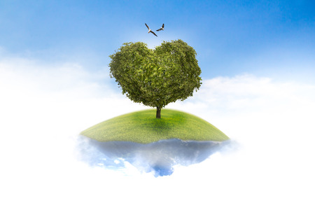 Suspended in the sky to the tree heartsの写真素材